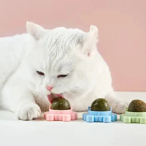 Catnip Roterande Molar Leksak