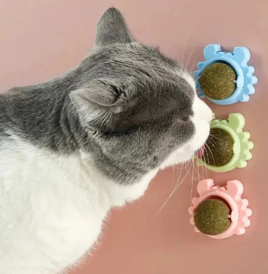 Catnip Roterande Molar Leksak