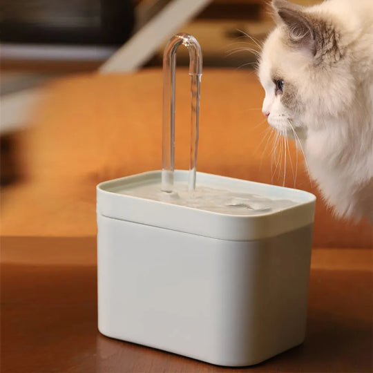 Automatisk Kattvattenfontän