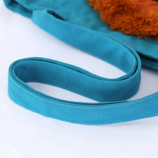 Pet Carrier Shoulder Bag