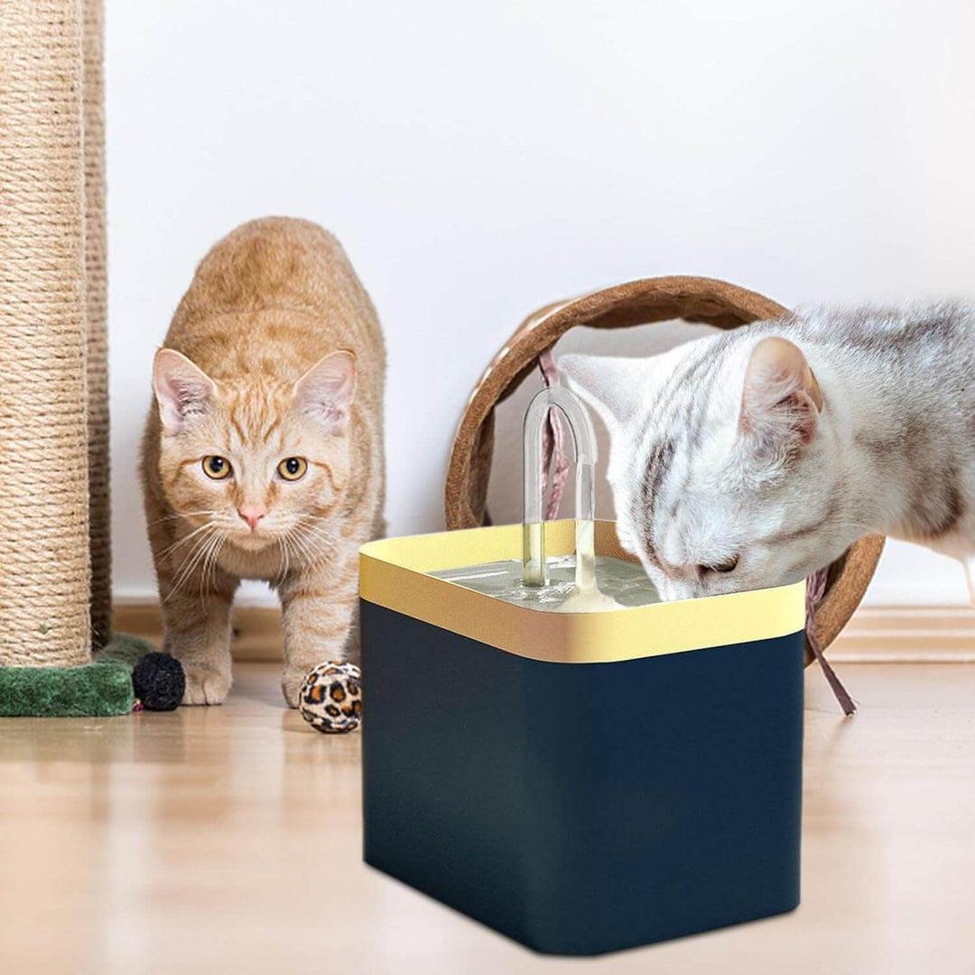 Automatisk Kattvattenfontän