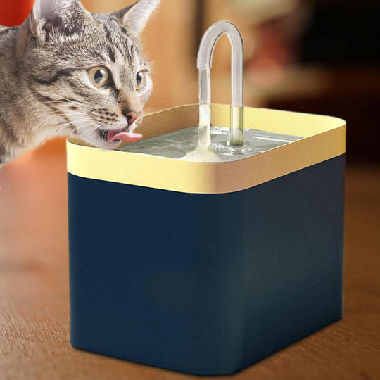 Automatisk Kattvattenfontän