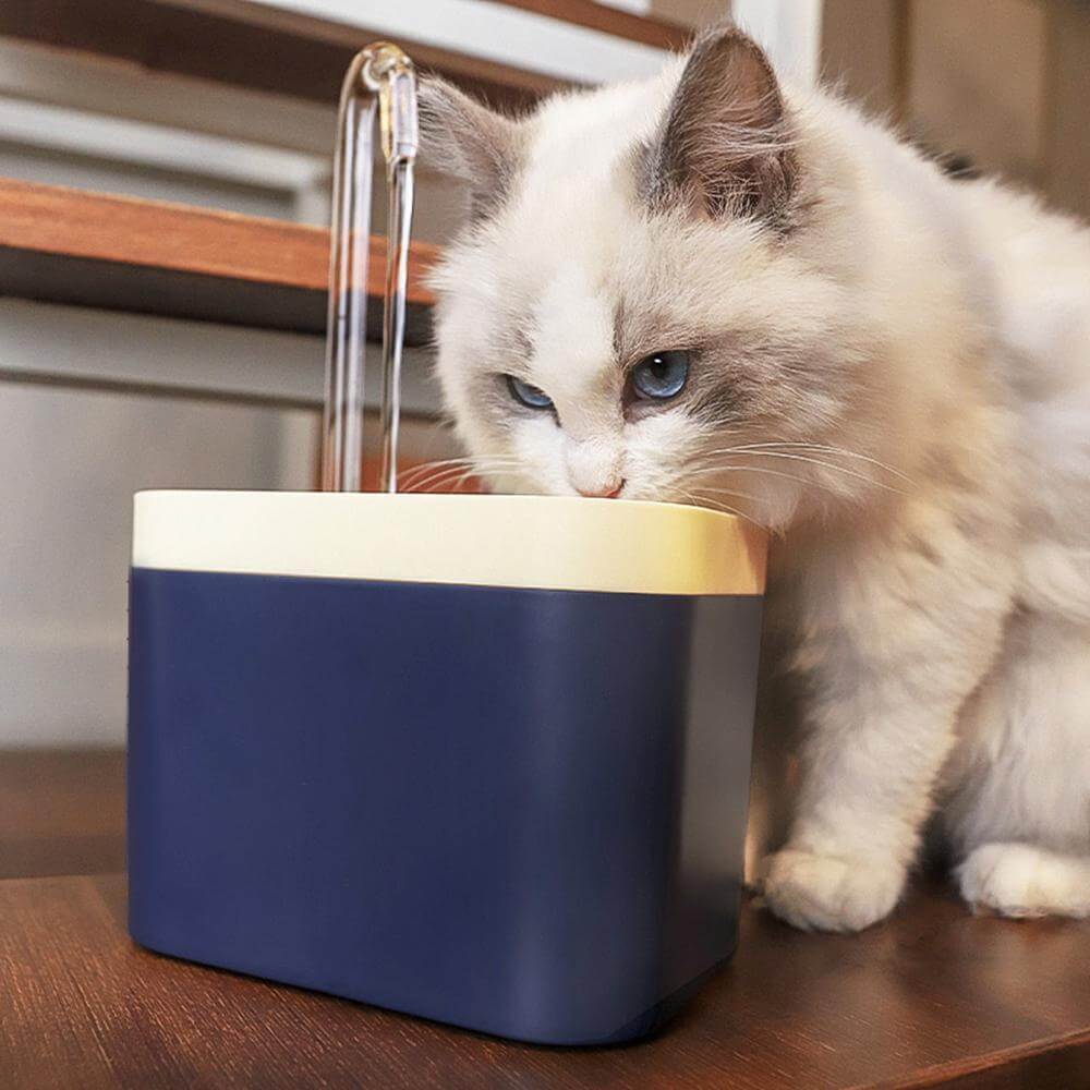 Automatisk Kattvattenfontän