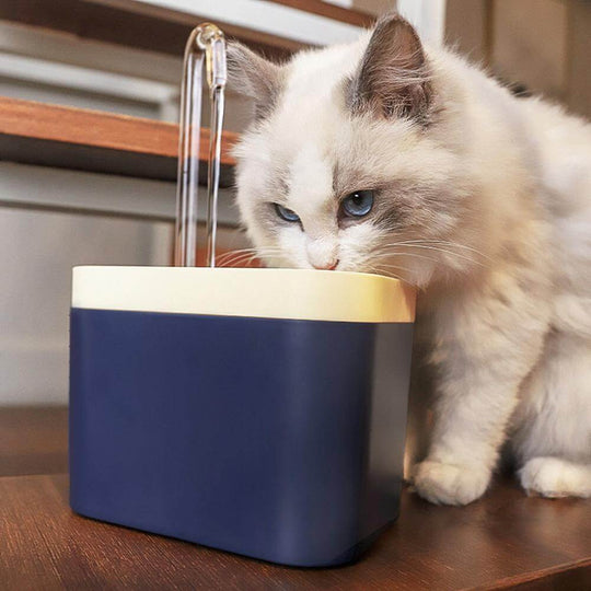 Automatisk Kattvattenfontän