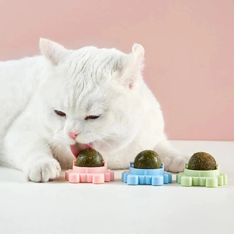 Krabba Roterbar Kattmynta Boll