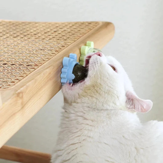 Krabba Roterbar Kattmynta Boll