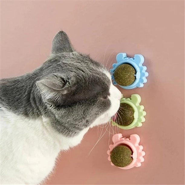 Krabba Roterbar Kattmynta Boll