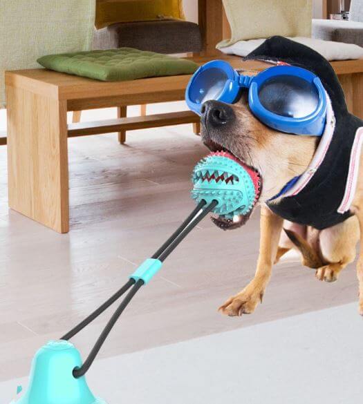 Interaktiv Hundtuggleksak