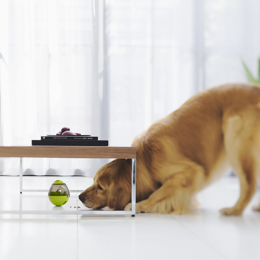 Interaktiv hundmatare boll