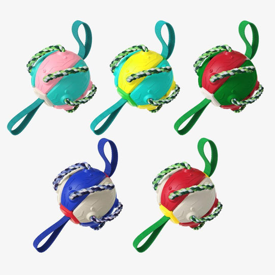 Interaktiv frisbee boll hund leksak
