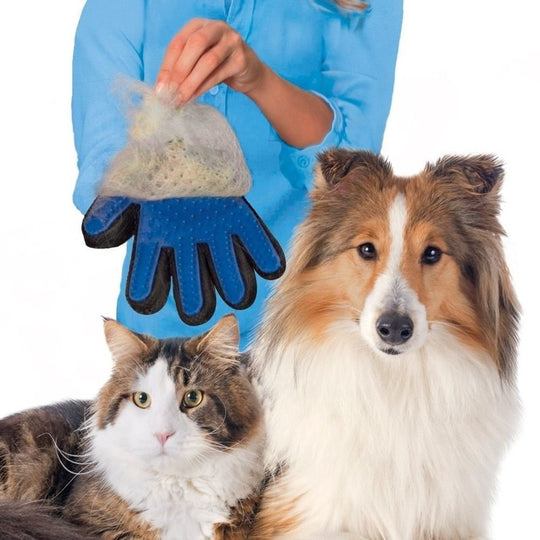 Katt Grooming Handskar