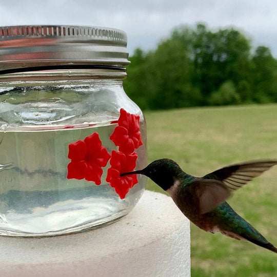 Kolibri Feeder Jar med portar blomma