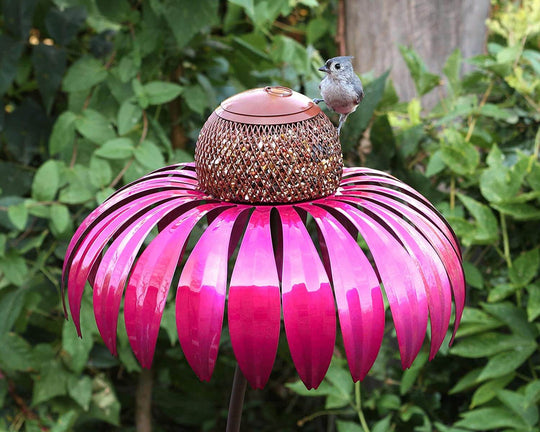 Coneflower fågelmatare