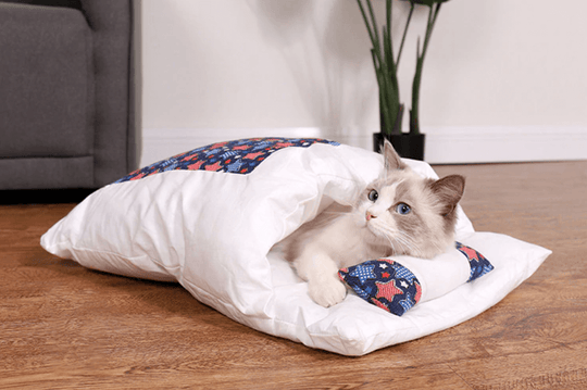 Katt Sovsäck