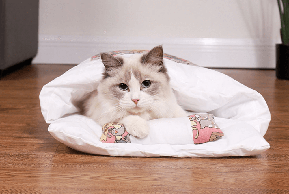 Katt Sovsäck