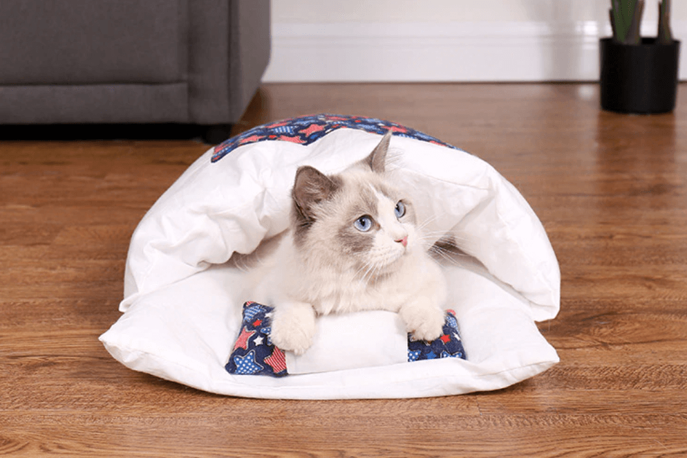 Katt Sovsäck