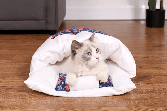 Katt Sovsäck