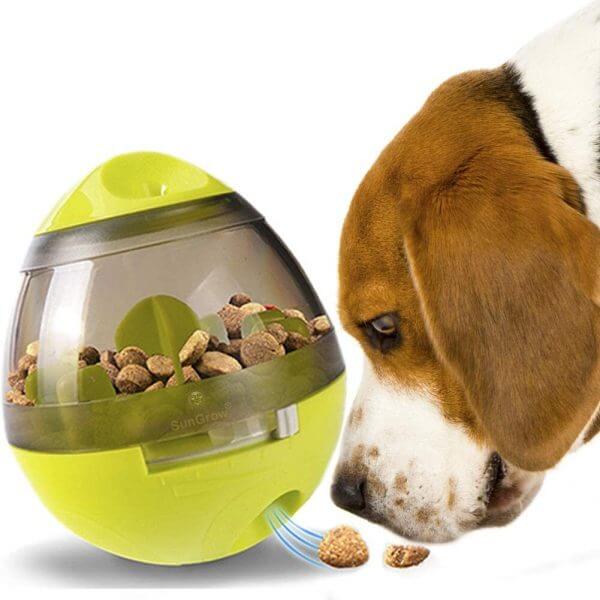 Interaktiv hundmatare boll