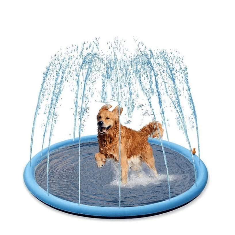 Hund Sprinkler Pad