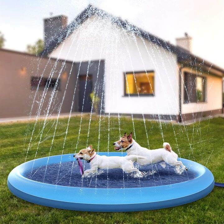 Hund Sprinkler Pad