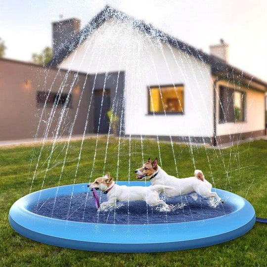 Hund Sprinkler Pad