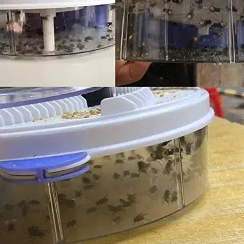 Automatisk Flugfälla